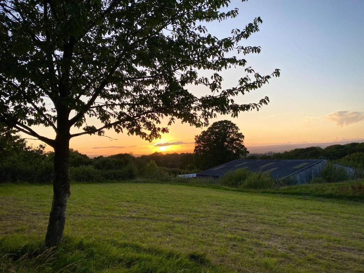 Cherry Tree Glamping Lodge Wellington  Bagian luar foto