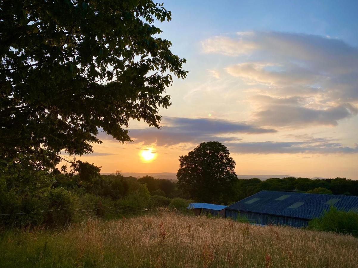 Cherry Tree Glamping Lodge Wellington  Bagian luar foto